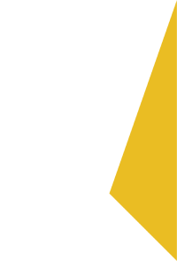 NexChief Logo